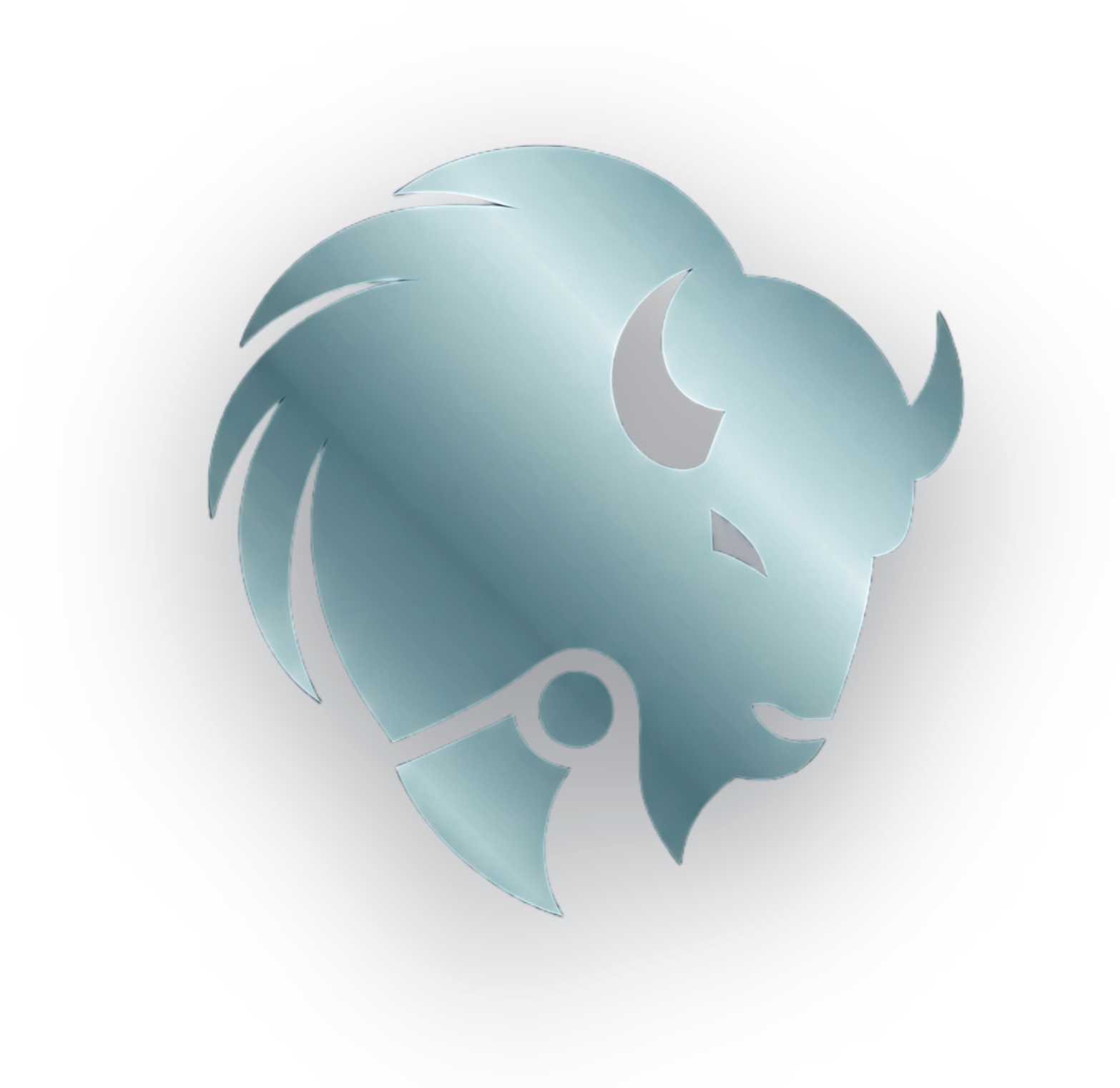 Bison Software Inc.